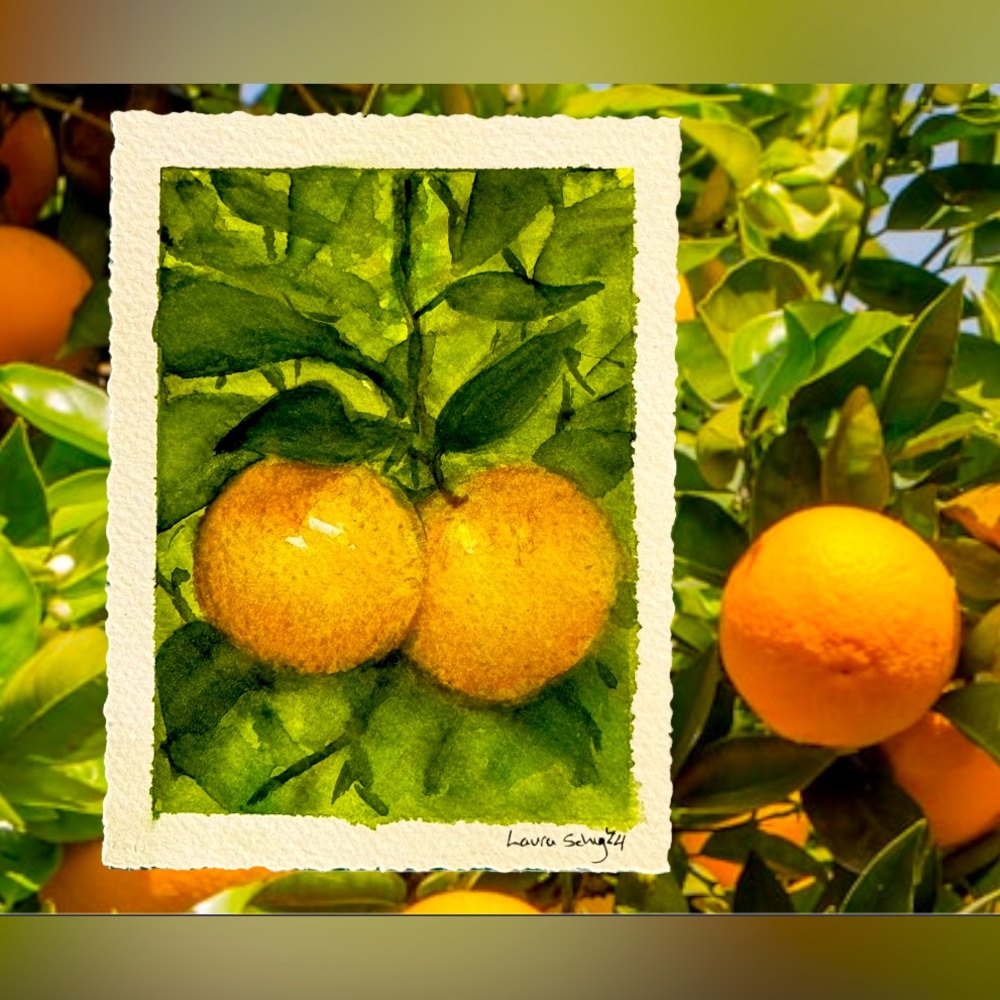 Original Watercolor Citrus Light Study Nature Deckled Edge Fruit Leaves